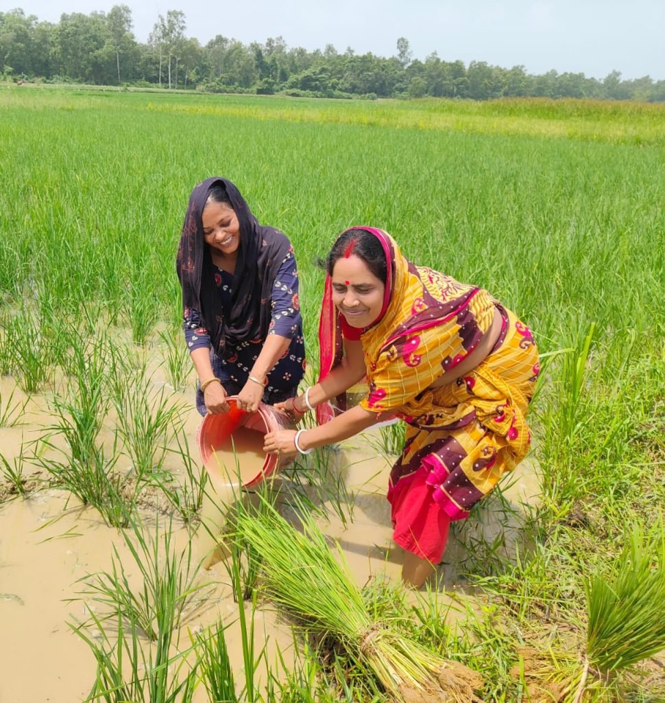 Women farmers in Purba Bardhaman district showing the new way of innovation and growth in agricultural sector 1 July 12, 2024 July 12, 2024 IMG 20240712 WA0002